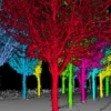 LiDAR360
